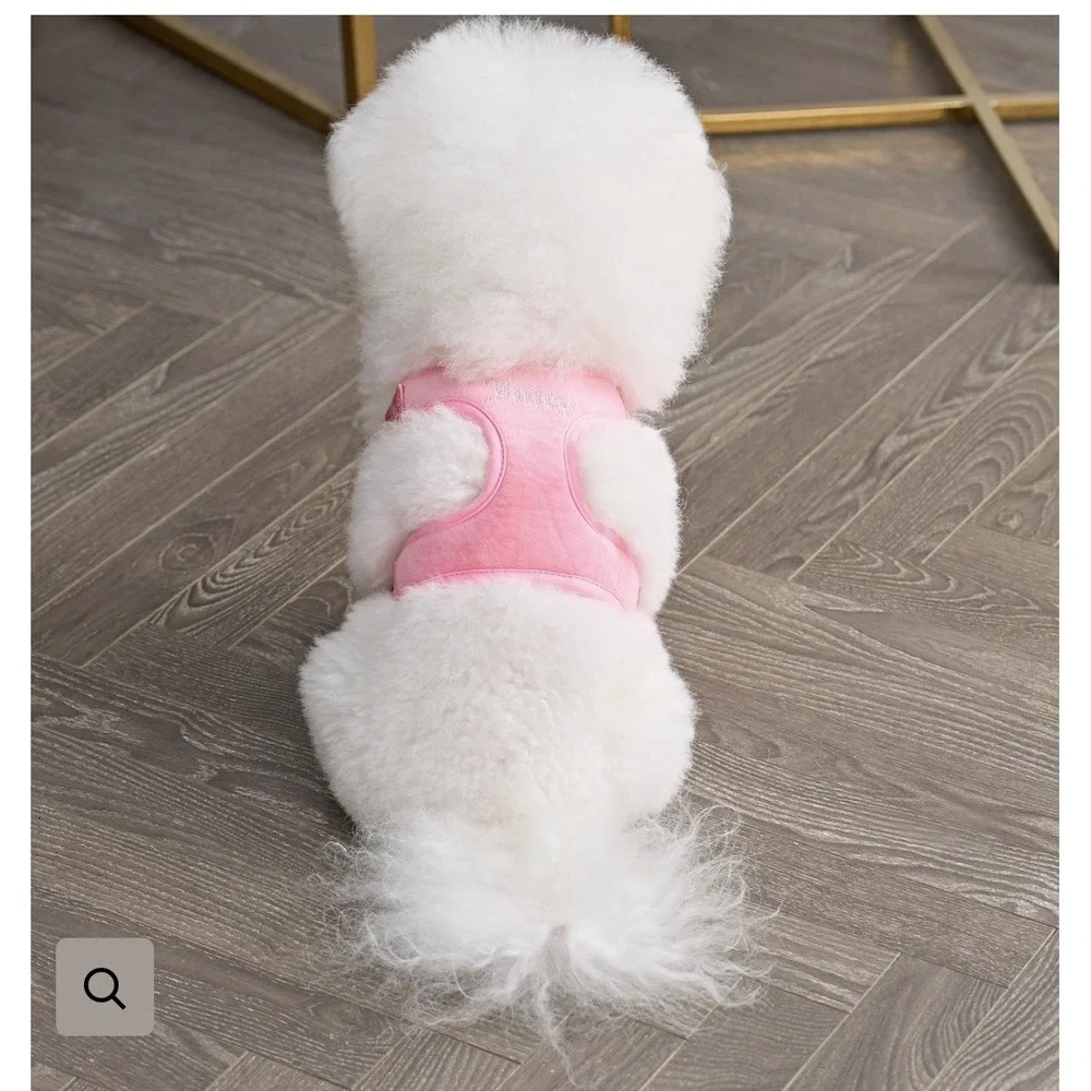 Juicy Couture Pink Rhinestone Crown Dog Harness & Leash Set LG - NEW‎